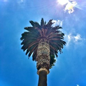 Meet your Posher, Piper